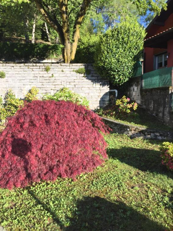 Villa Assunta Premeno Exterior photo